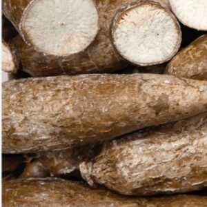 Yuca