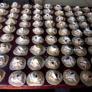Pastelillos de pollo