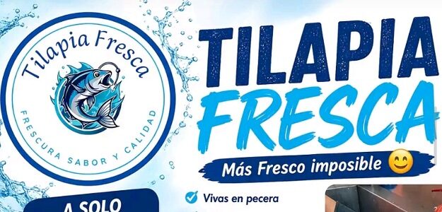 TILAPIA FRESCA