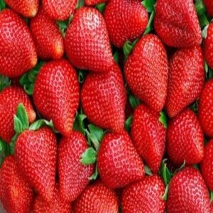 Frutas orgánicos