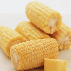 Choclos