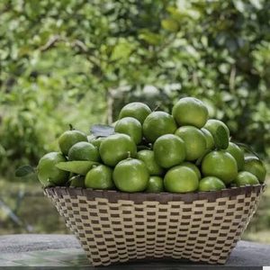 Limones por ciento