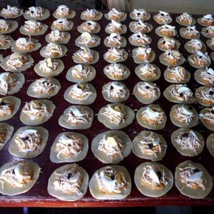 Pastelillos de pollo
