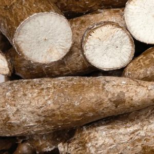 Yuca