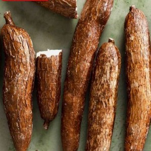 Yuca