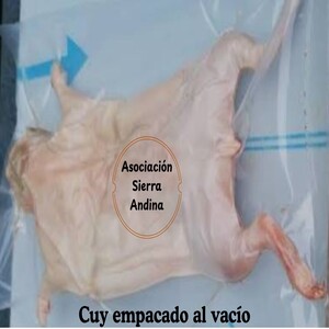 Cuy pelado