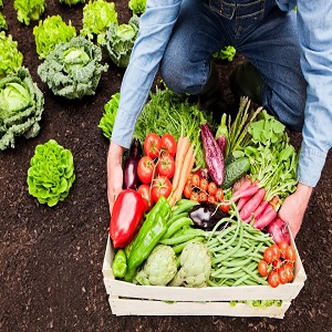 Capacitación Agro Orgánica
