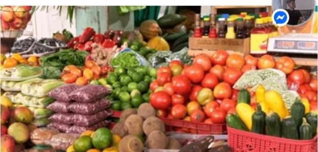 Tienda agrícola