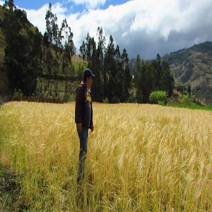 Asistecia en Agroecología