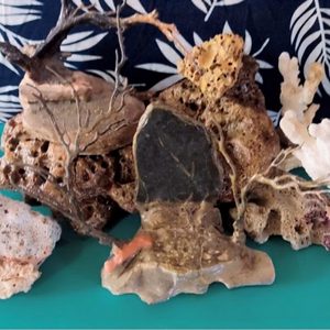 Manualidades de coral