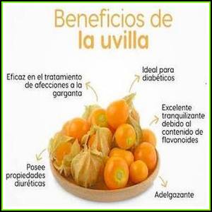 Uvilla Orgánica