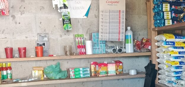PRODUCTOS DEL CAMPO