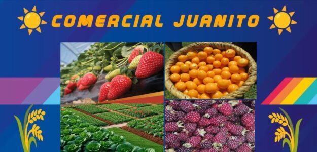 Frutas Juanito