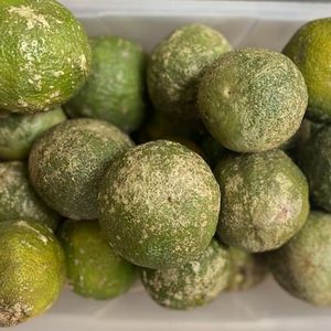 Limón mandarina