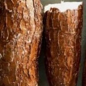 Yuca