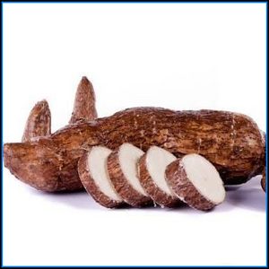 Yuca